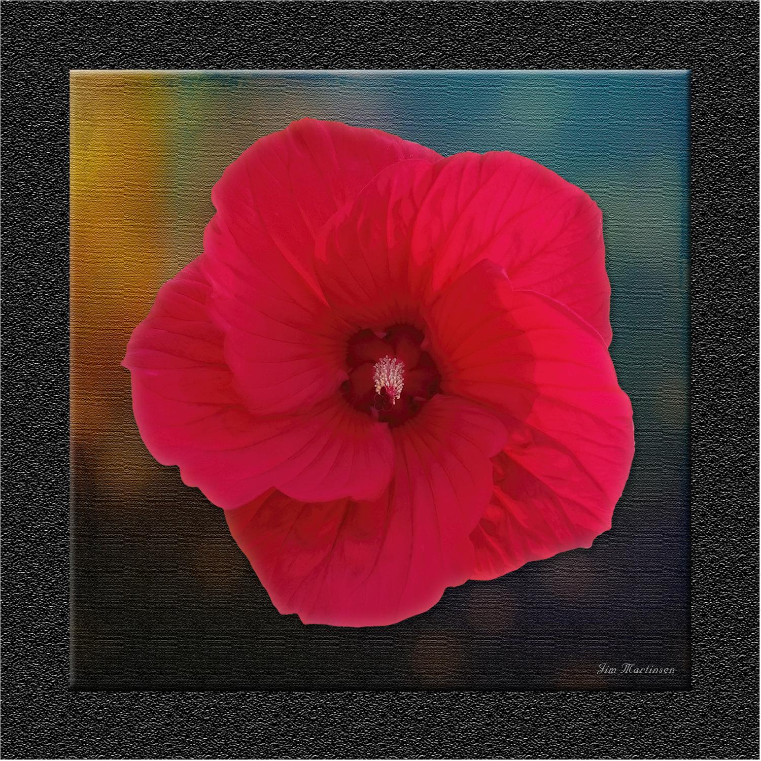 The Red Flower-15x15