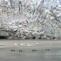 Glacial kayakers