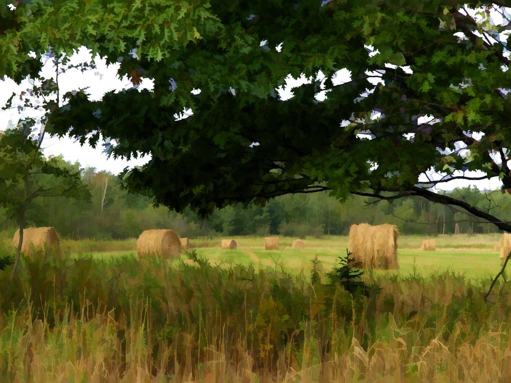 hay-bales