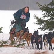 dog-sled