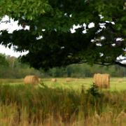 hay-bales