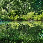 Reflections of the Shire